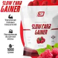 Гейнер для набора мышечной массы с медленными углеводами 2SN Slow Carb Gainer 1000г Малина
