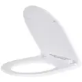 Крышка-сиденье для унитаза Sanita Luxe Best белый с микролифтом дюропласт (best sc)