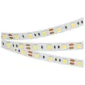 Светодиодная Лента RT-B60-10mm 12V Day4000 (14.4 W/m, IP20, 5060, 5m) (Arlight, Открытый) 012338(2)