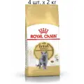ROYAL CANIN BRITISH SHORTHAIR ADULT для взрослых британских короткошерстных кошек 2 кг х 4 шт