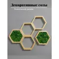 Декоративное панно из сот, 5 шт