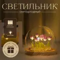 Светильник светодиодный декоративный подарочный Лютик Заморский Фиолетовый на батарейках