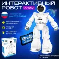 Робот DanyMilano алекс, интерактивный, на пульте ДУ, со световыми эффектами