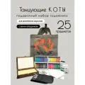 Подарочный набор художнику Танцующие коты, для рисования акрилом с мини-этюдником, 25 предметов