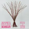 Верба пасхальная живая красноталка 31 ветка. Букет из вербы на Пасху