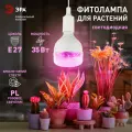 Фитолампа для растений светодиодная красно-синего спектра 35 Вт Е27 GREEN LINE ФИТО-35W-PL-E27-GR ЭРА