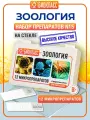 Препараты для микроскопа 12 образцов + 3 предметных и покровных стекла - Зоология - набор для опытов с микроскопом