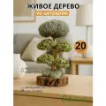 Интерьерное украшение Бонсай из Цетрарии