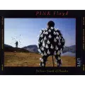 PINK FLOYD Delicate Sound Of Thunder - 2 CD
