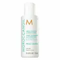 Moroccanoil Frizz Control Conditioner Кондиционер для дисциплины непослушных волос 70 мл