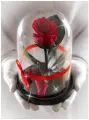 Роза в колбе Therosedome Premium Mini, стабилизированная, красная, 5-6см, 1шт