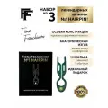 FIONA FRANCHIMON No1 Hairpin изумруд 3 шт. Набор Шпильки Фиона в Подарочном боксе, Заколки для волос