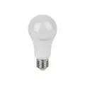 OSRAM Лампочка светодиодная низковольтная LSCLA120 10W/840 12-36VFR E27 FS1 4099854334481