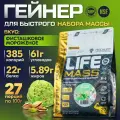 Гейнер для набора мышечной массы Tree of Life MASS gainer высокобелковый, углеводный коктейль, вкус Фисташка 6LB /2,73kg
