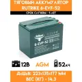Тяговый аккумулятор RuTrike 6-EVF-52 (12V52A/H C3)