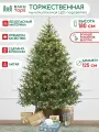 Искусственная елка Торжественная 180 см, 310 мульти/теплых белых Led ламп (2в1), 100% литая хвоя, ЕлкиТорг (186180)