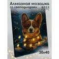 Алмазная (кристальная) мозаика светящаяся со светодиодами с холстом на подрамнике фрея ALDD-314 Корги с гирляндой 30 х 40 см