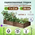 Грядки оцинкованные на дачу с полимерным покрытием усиленные 2х1 метр АНТИК2 / ограждения металлические для растений в теплицу и открытый грунт / грядка для сада и огорода высота борта 24 см