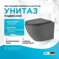 Унитаз подвесной WeltWasser Merzbach 041 MT GR безободковый с сиденьем микролифт, серый матовый
