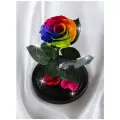Роза в колбе Therosedome Premium ХИТ, стабилизированная, 27x15x20 см, биколор
