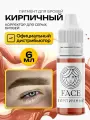 FACE Кирпичный Пигмент корректор для татуажа перманентного макияжа серых бровей, 6мл