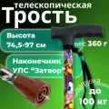 Трость телескопическая с прямой пластмассовой ручкой с устройством против скольжения Затвор ТР1(ПР)(Бабочки)