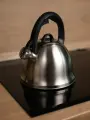Чайник для плиты Agness со свистком 3 л, из нержавеющей стали, термоаккумулирующее дно, индукционное дно