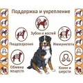 Сухой корм для взрослых собак Дилли, с индейкой и рисом, 3,7 кг