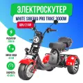 Скутер электрический White Siberia WS-PRO TRIKE+ 3000W красный