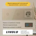 Двухклавишный сенсорный выключатель Livolo с розеткой (VL-C701/C701/C1EU-13)