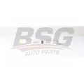 BSG BSG 15-130-003 oem фильтр топливный\ bmw e87 / e65 / e83 / e70 / f01 / f02 / f06 / f07 / f10-13 / f15 / f16 2.0-4.0d 03