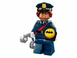 Конструктор LEGO Minifigures Batman Movie 71017-6 Барбара Гордон / Barbara Gordon (coltlbm-6)