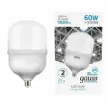 (2 шт)Лампа Gauss Elementary T160 60W 5600lm 6500K E27 LED 1/6.