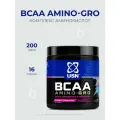 USN BCAA Amino-GRO 200 грамм, Комплекс аминокислот БЦАА, Лесные ягоды