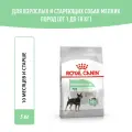 Сухой корм для собак мелких пород Royal Canin Mini Digestive Care при чувствительном пищеварении, 3 кг