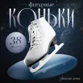 Коньки фигурные Winter Star Basic, искусственная кожа, размер 38