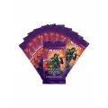 Magic The Gathering: 10 Драфт-бустеров MTG издания Горизонты Модерна 2 на русском