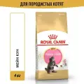 Сухой корм для котят Royal Canin Kitten для породы мейн кун, 4 кг