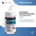 Derma Factory Calamine 100 powder Косметический порошок каламина для ухода за кожей 6г