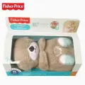 Развивающая игрушка Fisher-Price Игрушка для засыпания Выдра FXC66, серый