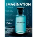 Imagination духи, парфюмерная вода для мужчин и женщин, Imagination , 100 мл