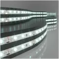 Уличная лента светодиодная Elektrostandard 2835 12В 60 Led/м 4,8 Вт/м 6500K холодный белый свет, 5 метров, IP65