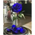 Синяя роза в колбе Люкс в подарочной коробке/32 см/Живет 5 лет!