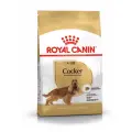 Сухой корм для собак Royal Canin Коккер-спаниель, курица 1 уп. х 2 шт. х 3 кг (для мелких и карликовых пород)