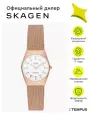 Наручные часы SKAGEN, белый