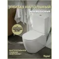 Унитаз напольный безободковый с быстросъемным сиденьем микролифт Teymi Lina R T40120