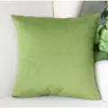 Подушка декоративная Фисташка 40х40 велюр