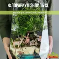 Флорариум Энлиль XL с Бонсаем