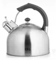 Металлический чайник LARA LR00-06, 4л, серебристый