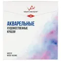 Vista-Artista Набор акварельных красок VAWS-24, 24 цв., 24 шт., ассорти